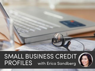 Small-business credit profile: Alikay Naturals